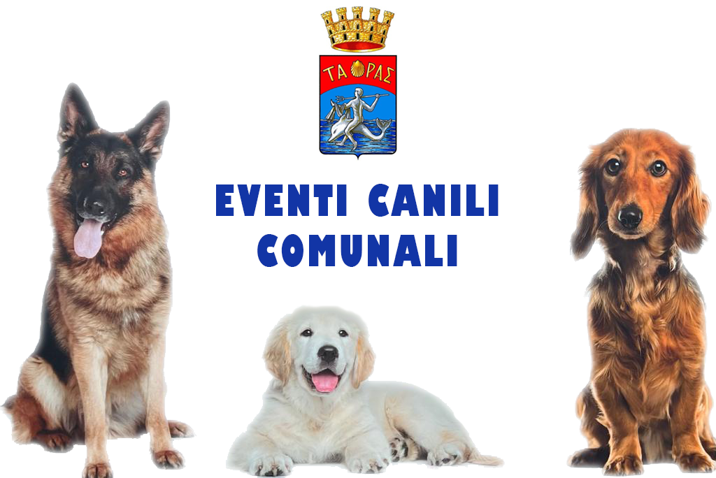 Eventi canili Comunali 1