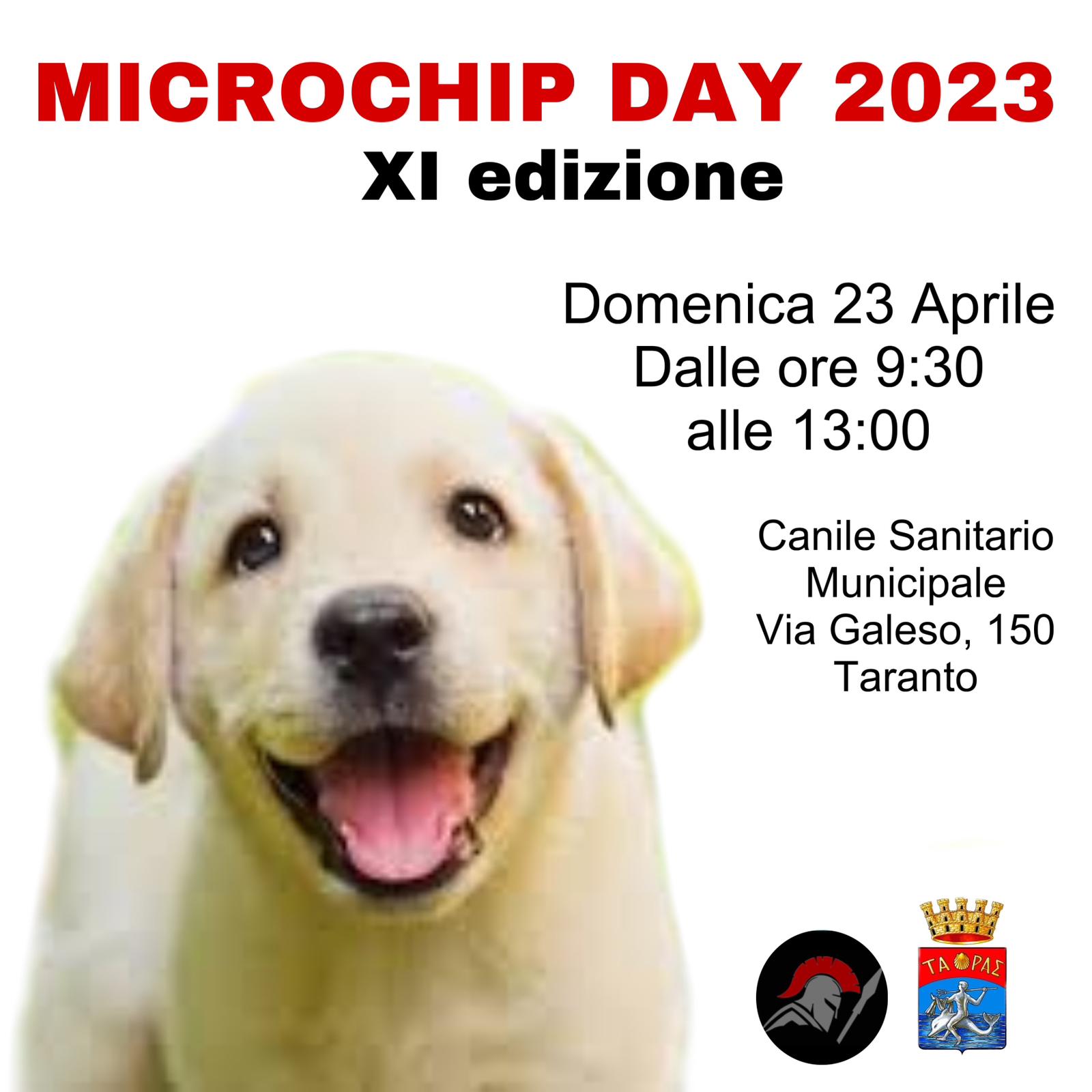 Microchip