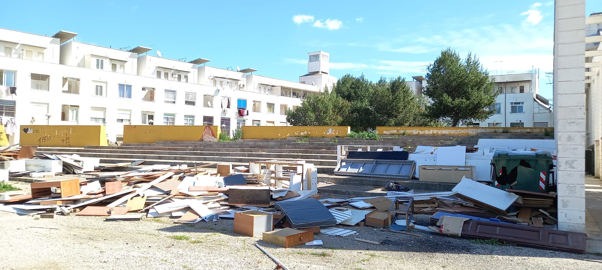 Rimozione cataste legna salinella Kyma Ambiente Polizia Locale 4