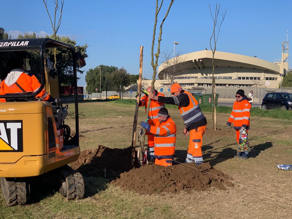 alberi taranto2 3