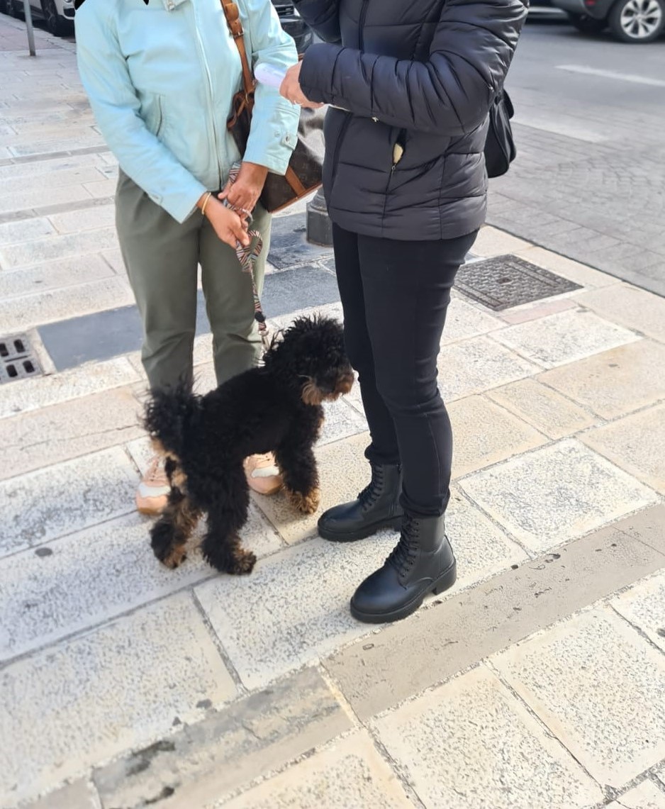 controlli polizia locale cani 5