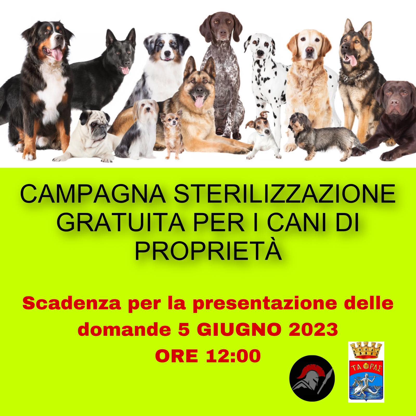 iniziative cani 1